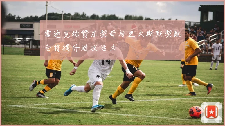 雷迪克称赞东契奇与里夫斯默契配合将提升进攻活力